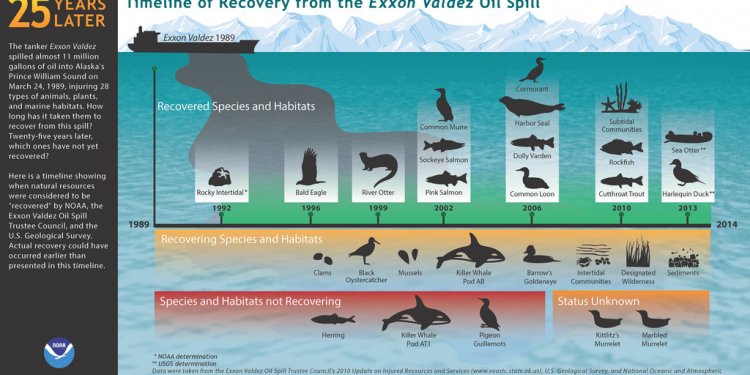 The Exxon Valdez Oil Spill