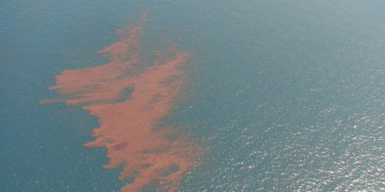 Aerial shot of Gulf Coast oil
