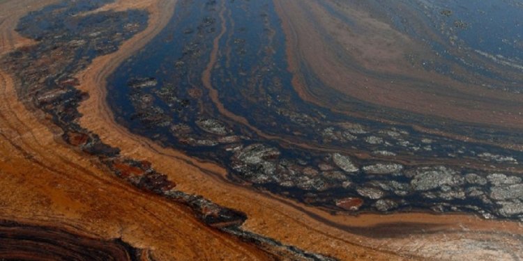 Gulf Of Mexico Oil Spill