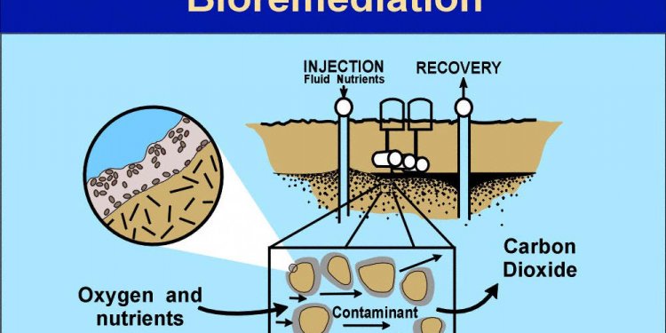 Process of bioremediation