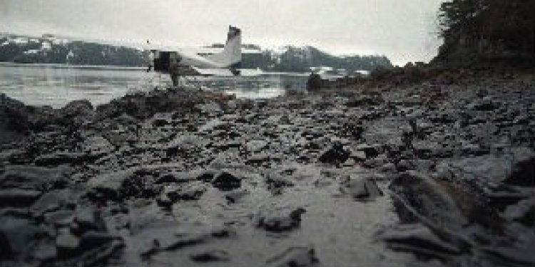 Exxon Valdez oil still found