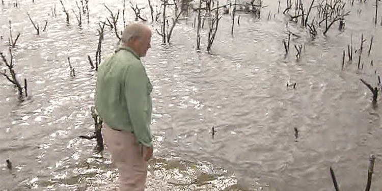 Four years later, BP oil spill