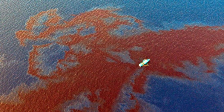 Gulf of Mexico oil spill in