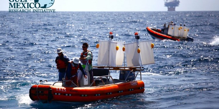 Gulf of Mexico Research