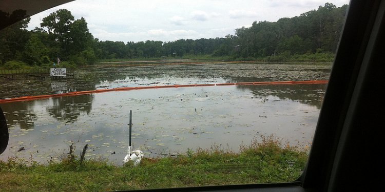 Lake Conway Exxon Oil Spill Clean Up