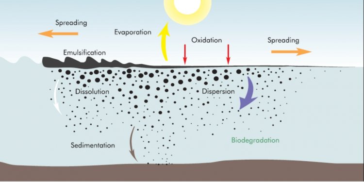 Marine Pollution Weathering