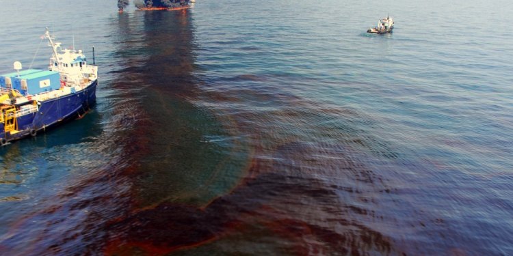 Can Now Absorb Oil Spills