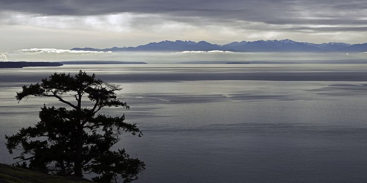 Salish-sea-and-olympic