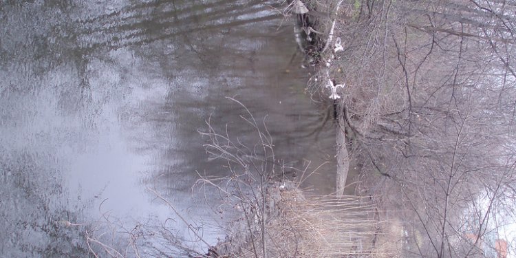 Oily Sheen in the Muddy River, Brookline, Massachusetts