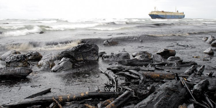 The Exxon Valdez Oil Spill