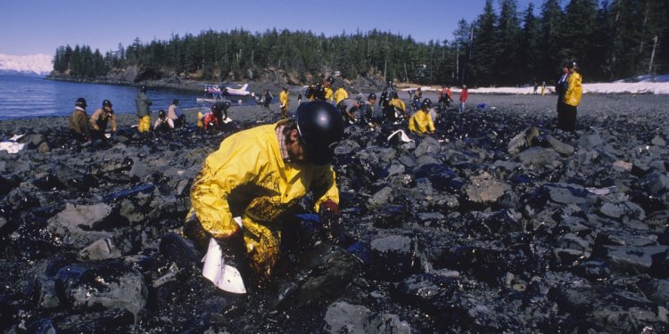 The Exxon Valdez Oil Spill: