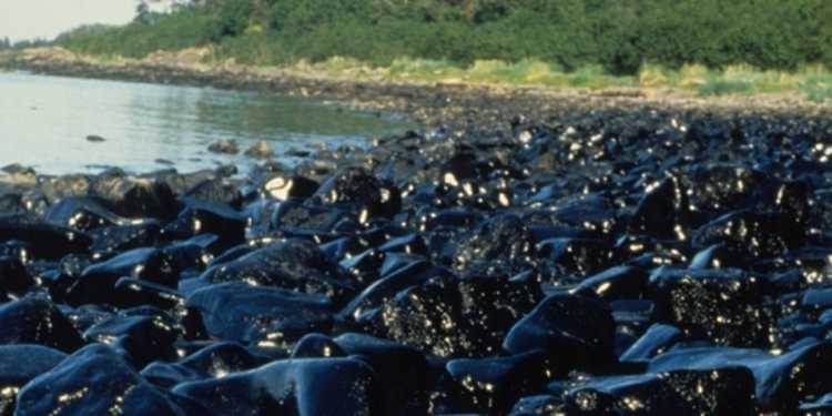 The Exxon Valdez Spill Is