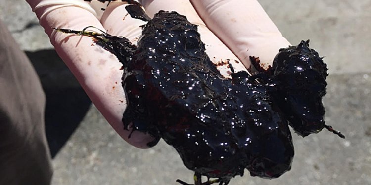 Vancouver oil spill was small