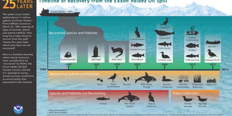 Exxon Valdez oil spill article