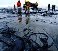 2010 Gulf of Mexico Oil Spill