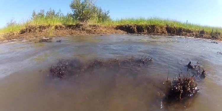 Deep Water Horizon oil spill environmental impact