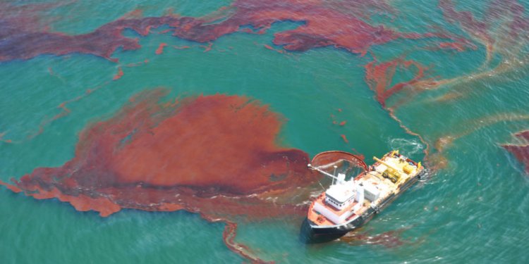 Oil spill bacteria