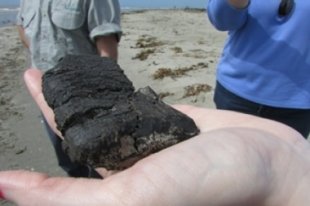 BP Oil Spill 5 Years Later: The Coast Is Still Struggling [Video]