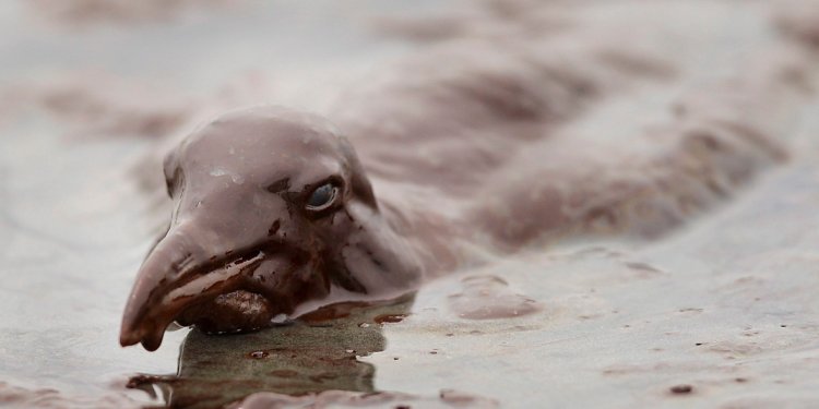 BP oil spill Economic impact