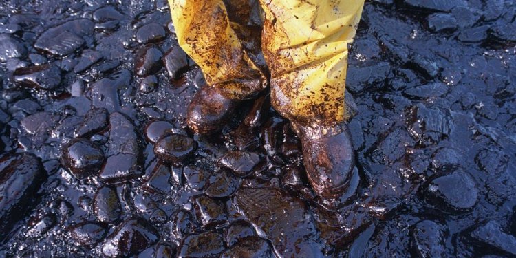 Exxon Valdez oil spill effects on the environmental