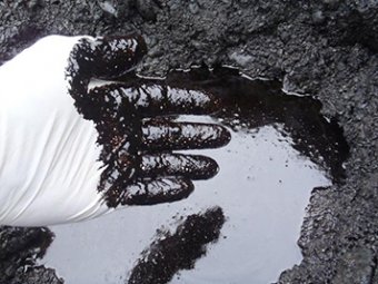 Gloved hand dipped in black colored oil in a pool of oil in shoreline sediments.