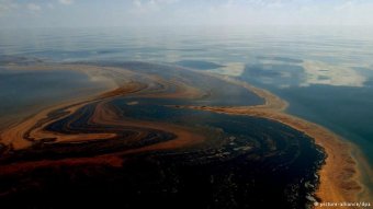 gulf coast of florida shoreline