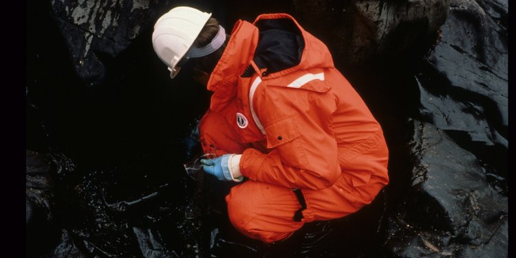 Exxon Valdez oil spill information