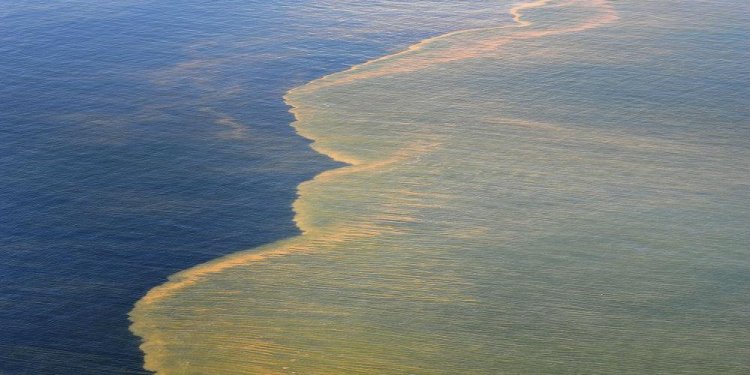 Deepwater Horizon oil spill Summary