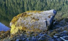 Mearns Rock boulder in 2003.