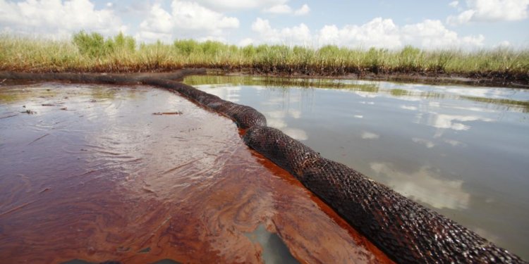 Using bacteria to clean up oil spills