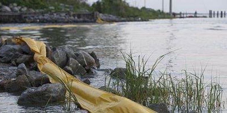 Bacteria used in oil spill clean up