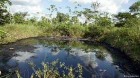 Oil swimming pools in Orellana, Ecuador (Photo: Lou Dematties)