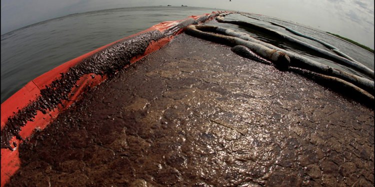 Bacteria cleaning up oil spills