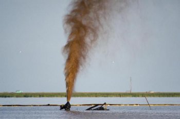 Oil spills still take place every day all over the world - this one in Louisiana salt marsh. Picture credit: © Carrie Vonderhaar, Ocean Futures Society