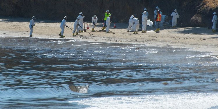 Oil spill Consequences