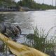 Bacteria used in oil spill clean up