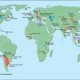 Bioremediation oil spills