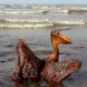 Deepwater Horizon oil spill cleanup