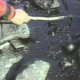 Exxon Valdez oil spill for Kids