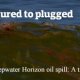 Gulf oil spill Timeline