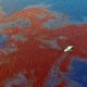 Gulf oil spill Update