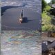 Most recent oil spills