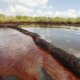 Using bacteria to clean up oil spills