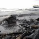 What caused the Exxon Valdez oil spill?