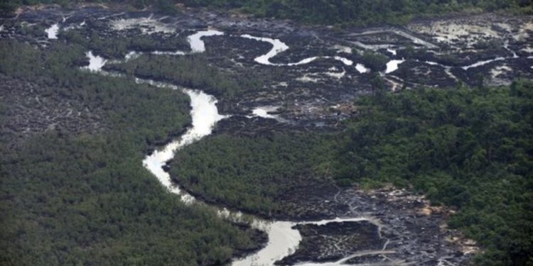 Shell oil spills