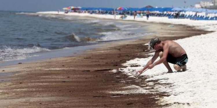 Gulf Shores oil spill