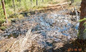 Tar Sands : pictures from a federal government scientist for the website of an oil spill in cool Lake, Alta