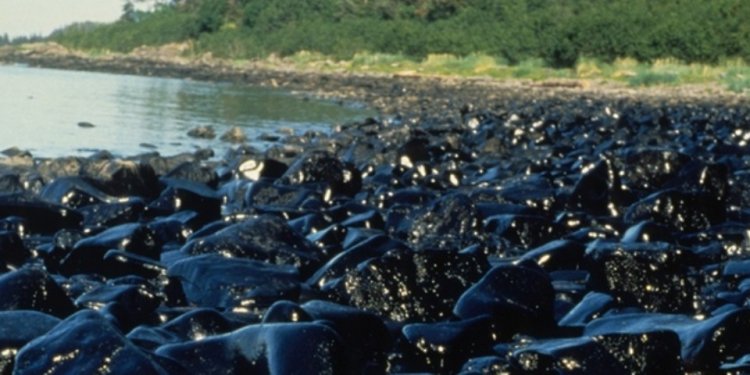 Exxon Valdez oil spill Trustee Council