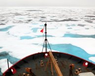 Arctic oil spill Response