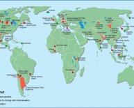 Bioremediation oil spills